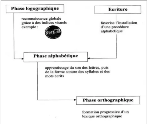 Figure 2: Modèle développemental de Frith, 1985 