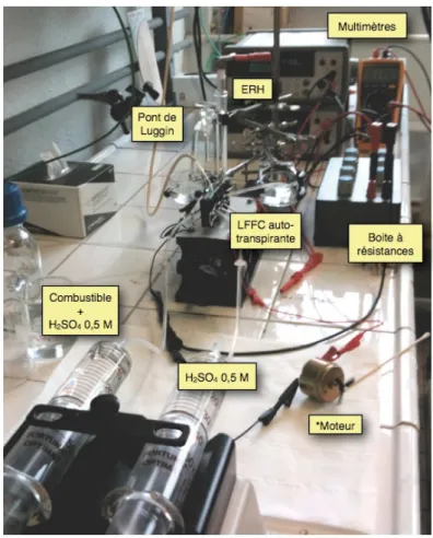 Figure 2.3.3.2 : Schéma de l’appareillage et du système de mesures en LFFC auto-transpirante