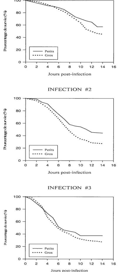 Figure 4 Effet du poids sur la survie des poissons lors des infections avec la bactérie Aeromonas saÏmonicidct