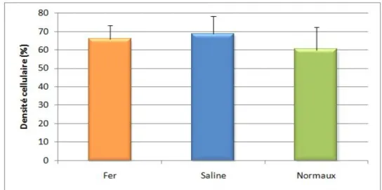 Figure 10 : Graphique représentant la densité cellulaire de la moelle osseuse (%)  chez les individus du groupe traitement (fer, n=8) et contrôle (saline, n=8) à t14j ainsi  que chez les individus non anémiques (normaux, n=4)  