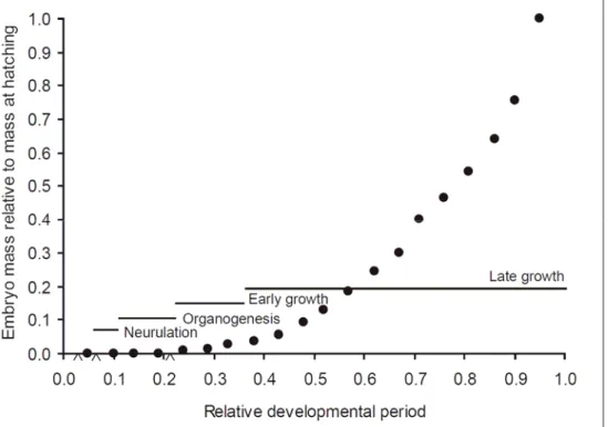 Figure 4. Différenciation et croissance (masse vivante) chez l’embryon de poulet. Les axes sont la proportion de la masse finale obtenue à l’éclosion (Y) et la proportion de la période totale de développementaccomplie(àpartirdel’ovulation).Les points noirs