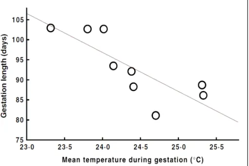 Figure 4. Influence de la température environnementale moyenne pendant la période de gestation (été)surladuréedegestationchezdesvipèresenliberté.Pourplusdesimplicité,legraphemontrela duréedegestationmoyenneannuelle.