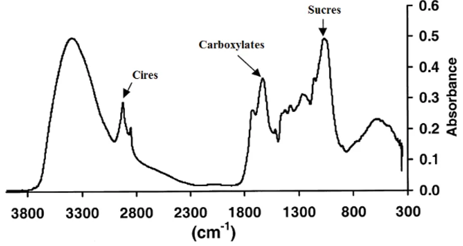 Figure I-10 : Spectres IRTF d’ordre zéro de la tourbe de la forêt d'Abernethy (absorbance  moyenne des différents échantillons) d’après Chapman et al