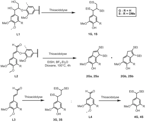 Figure I-22 : Structures des lignines et de leurs principaux produits de thioacidolyse (Lapierre  et al., 2004)