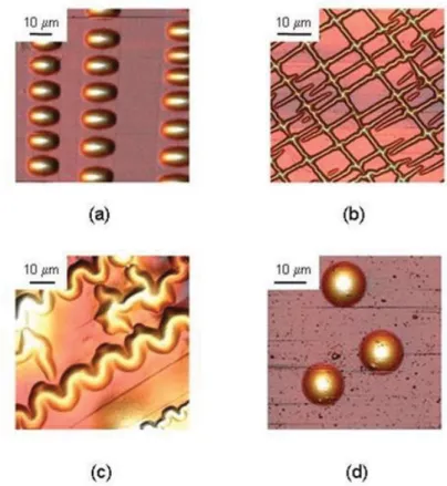 Figure 1 – Observation par microscopie à force atomique de structures de cloquage de diﬀérentes morphologies