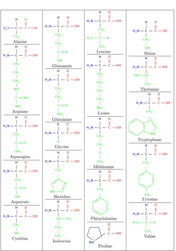 Table 2.1 – Dénomination et représentation de la structure des 20 acides aminés.