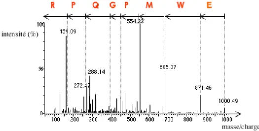 Figure 3.1 – Interprétation de novo d’un spectre MS/MS. En interprétant les intervalles entre les pics, il est possible de reconstituer la séquence peptidique