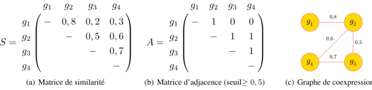 Figure 2.9 – De la corrélation d’expression de gènes au graphe de coexpression. À partir (a) d’une matrice de similarité d’expression S, (b) une matrice d’adjacence des gènes A est calculée : pour chaque valeur supérieure ou égale à un seuil de 0, 5, les g