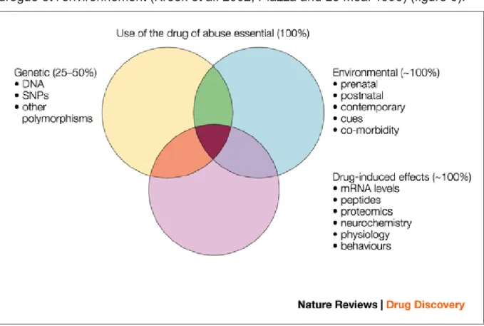 Figure 6. Contribution des facteurs génétiques, environnementaux et associés à la drogue  dans le développement de l’addiction, d’après (Kreek et al