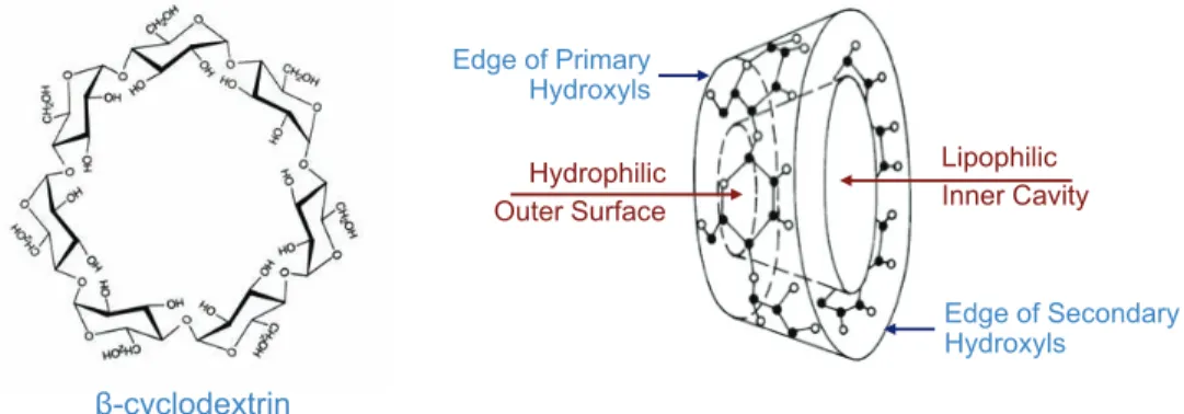 Figure 1.11. Exemple de la b-cyclodextrine avec sa structure en 3 dimensions montrant sa cavité  hydrophobe (lipophile) et sa surface externe hydrophile