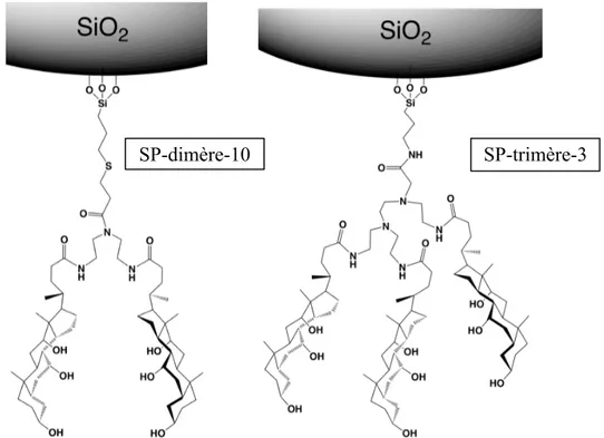 Figure 2.2. Structures des oligomères greffés, SP-dimère-10 et SP-trimère-3, sur le gel de silice,  où SP est pour stationary phase ; dimère et trimère est pour distinguer les oligomères d’acide 