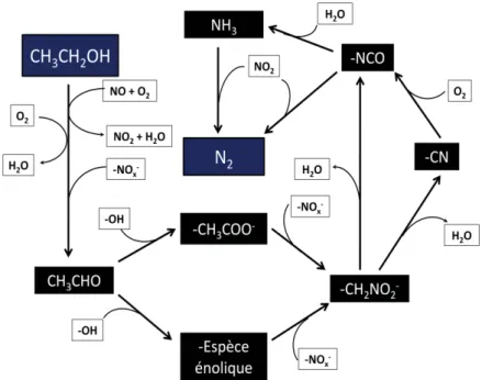 Figure 15 : Mécanisme de formation de l’azote en SCR des NO x  par l’éthanol. 