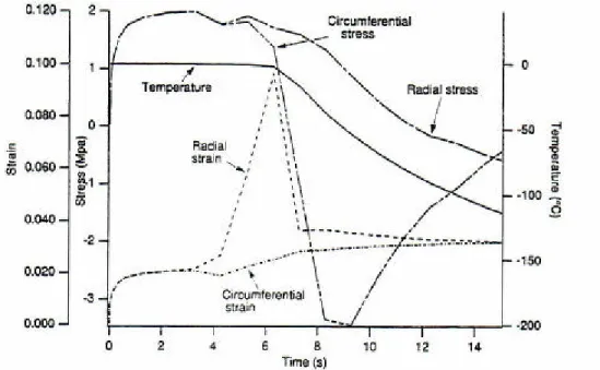 Figure 16. Variation de la température, de la contrainte et du déplacement à mi rayon  (r=5mm) d'un échantillon de pomme de terre (Shi et al
