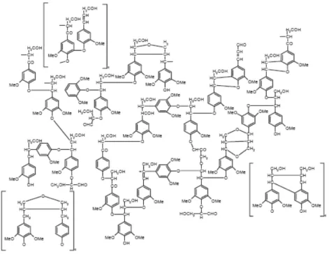 Figure II.1-II : Structure schématique de la lignine de hêtre (Lüdemann, 1974) 