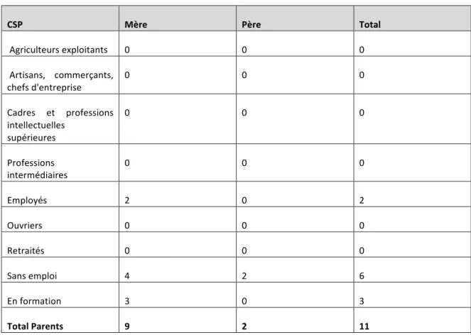 Tableau  11.  Catégories  socioprofessionnelles  des  parents  des  enfants  de  la  crèche  associative Zéphir  