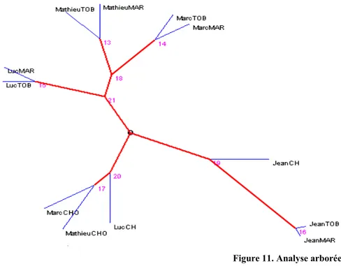 Figure 11. Analyse arborée 