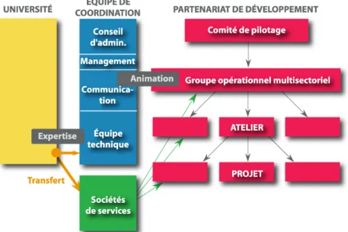 Figure 5 : Gouvernance de l'observation au sein des partenariats multisectoriels. 