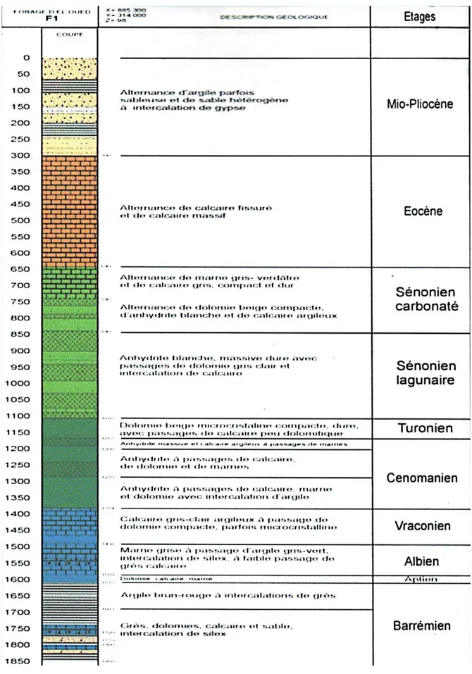 Figure I.10 : la litho stratigraphique du forageF1 (A.N.R.H ; 1993) 