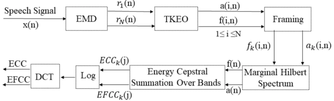 Figure 4: Schema of ECC and EFCC extraction.