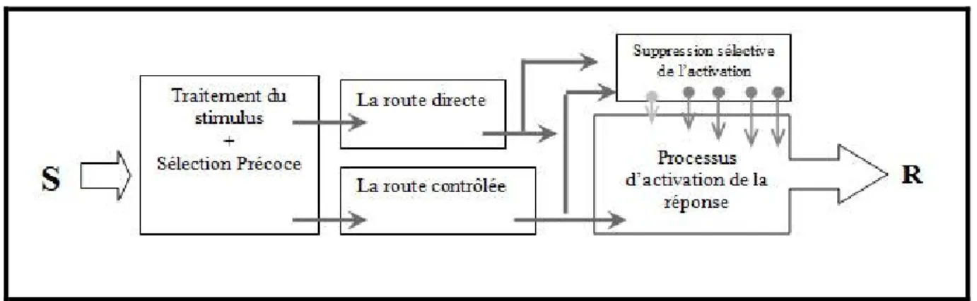 Figure  8 :  Représente  une  extension  du  modèle  double  routes  avec  les  processus  de  la  suppression  sélective