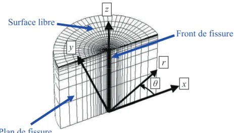 Figure 2.6 : Maillage rayonnant centré sur le front de fissure rectiligne pour une   modélisation à 1/4 