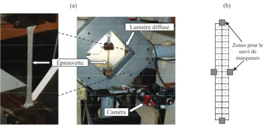 Figure 3.7 : Essai de traction réalisé pour les mesures de déformation (a), domaines de  corrélation et zone d’étude choisie pour le suivi de marqueurs (b) 