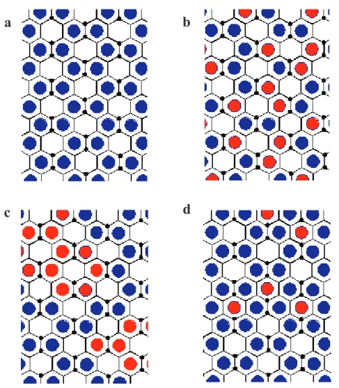 Figure 5 : Différents modes d’organisation des cations dans la couche octaédrique (configuration trans- trans-vacant) (a) pas de substitution, (b) substitutions aléatoires, (c) distribution des cations en clusters, (d) 