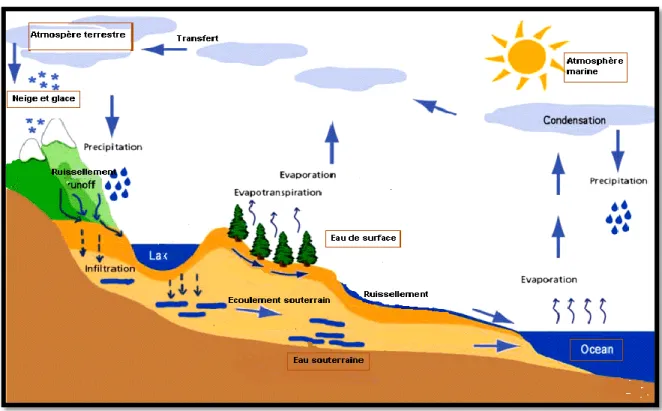Figure 01 : Cycle de l'eau dans la nature (Broussaud, 2008). 