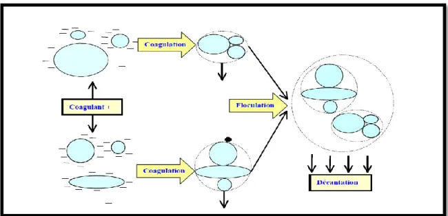 Figure 04 : Coagulation-Floculation (Graini, 2011). 