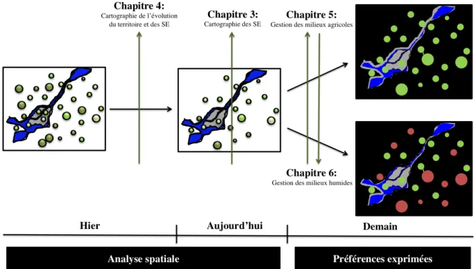 Figure 1. Organisation générale de la thèse. 