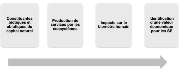 Figure 1.1.  Composantes et progression type de la démarche d’évaluation économique des  services écosystémiques