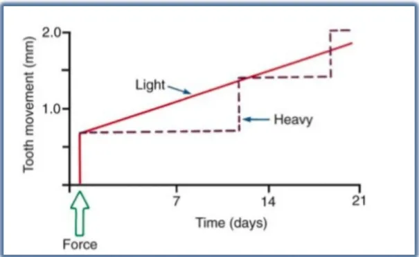 Figure 2.  Résorption directe et indirecte selon Proffit (6) . 