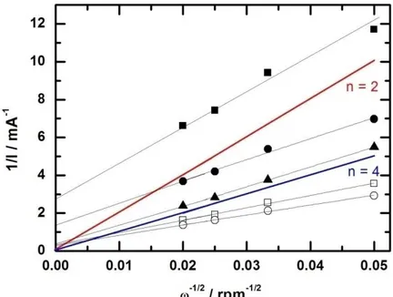Figure 32 : Droites de Koutecky-Levich pour le 20% Pt/C pour différentes concentration  d’espèces O 2  et/ou H 2 O 2  en milieu H 2 SO 4  0,5 M :    [H 2 O 2 ] = 1.10 -3  mol /L,    [H 2 O 2 ] = 2.10 