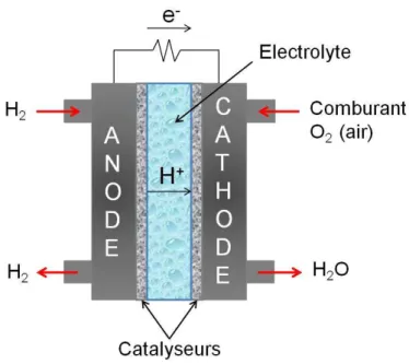 Figure 1 : Schéma de fonctionnement d’une pile à combustible H 2 /O 2 .  Les réactions ayant lieu aux électrodes sont [29] :  