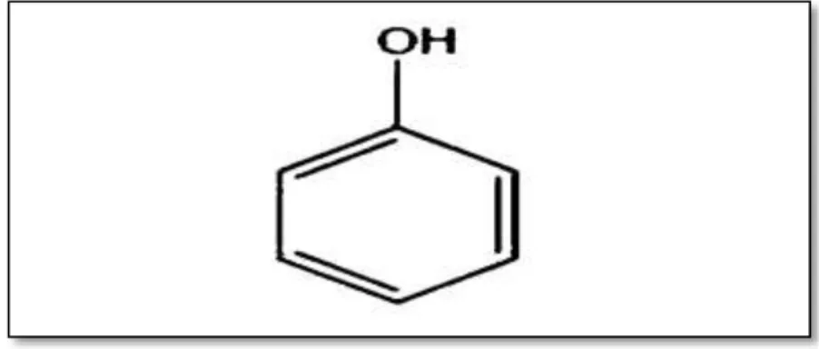 Figure 01 : Squelette de base des polyphénols (Vermerris et Nicholson, 2006) .  Les  composés  phénoliques  constituent  un  des  groupes  les  plus  importants  chez  les  végétaux,  issus  de  la  grande  voie  d’aromagenèse  ;  shikimates  ou  acide  sh