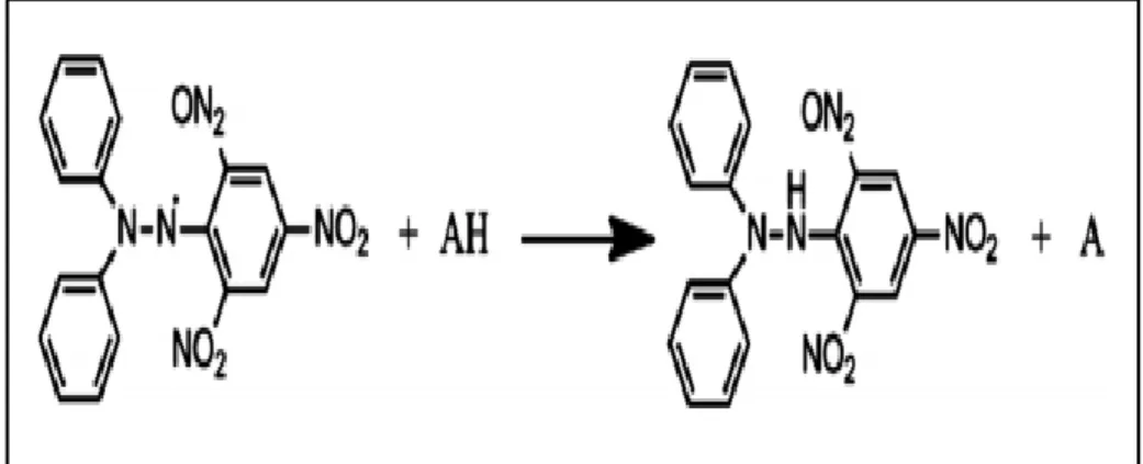 Figure 2.- la réduction de test DPPH (SIRIVIBULKOVIT et al.,  2018)  І.4.1.2.- Mode opératoire  