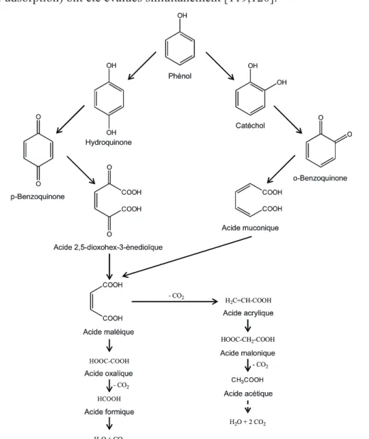 Figure 3 : Schéma réactionnel de l’OVHC du phénol proposé par Duprez et coll.  