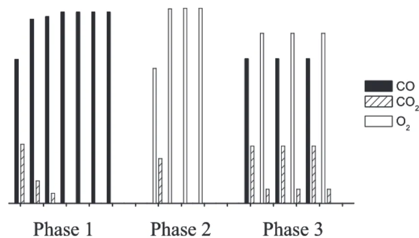 Figure 21 : Principe de la mesure de la Capacité de Stockage de l’Oxygène.  