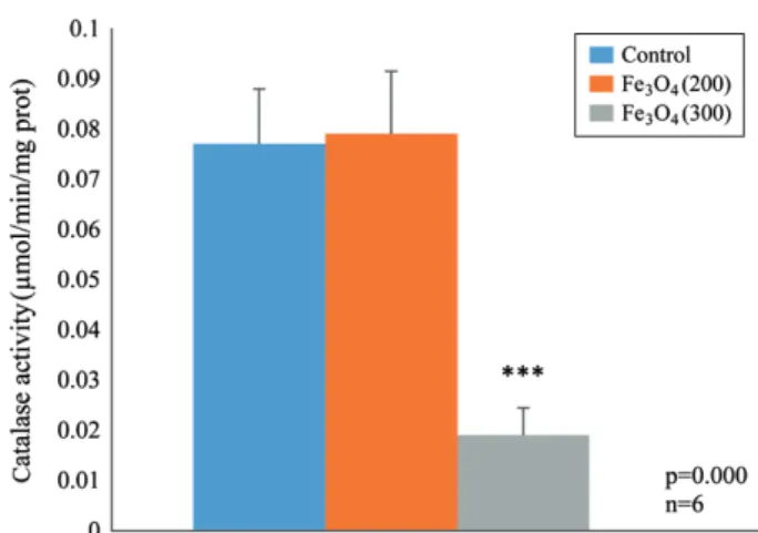 Figure 3.  Effect of Fe 3 O 4 -NPs on the variation of stromal  GST (μM/mg) after 14 days of per os administration (p &lt; 0.01).