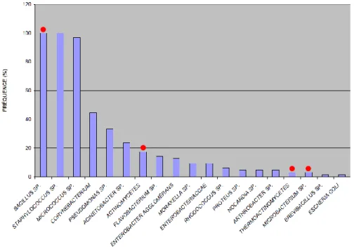 Figure 1-11. Fréquence de détection des bactéries trouvées dans 63 environnements de travail (IRSST -  Goyer et al., 2001)
