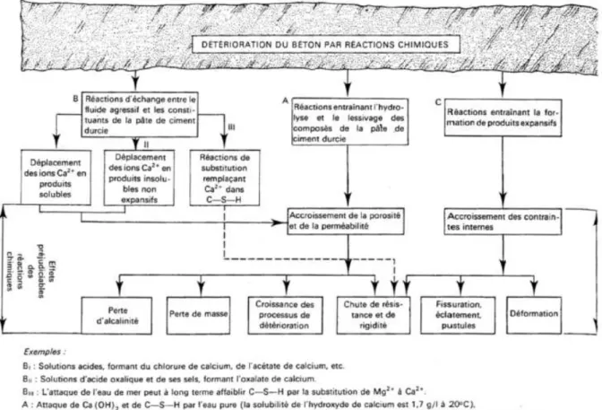 Figure 1-7 : schéma de synthèse de la détérioration du béton par réaction chimique [REG 81]