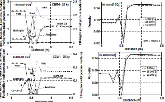 Figure 1-27 : résultats des simulations à 25 000 ans pour un béton CEM I en contact avec  l’argilite à 25°C [TRO 06]