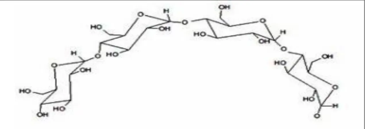 Figure 03.-Structure chimique de l'amylose (OUSSADI, 2018) 