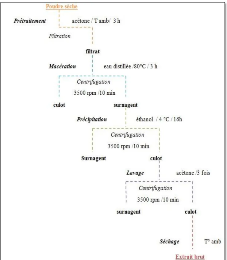 Figure 06.- Schéma général des différentes étapes d’extraction des polysaccharides  hydrosolubles (HAO et al., 2020; WANG et al., 2014; KAKAR et al., 2020; TABARSA et al., 