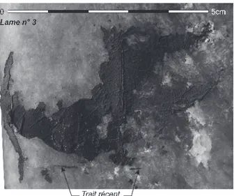 Fig. 9 – Close up view of the visible residues on a face of blade n° 3  (photos H. Neveu-Derotrie; CAD S