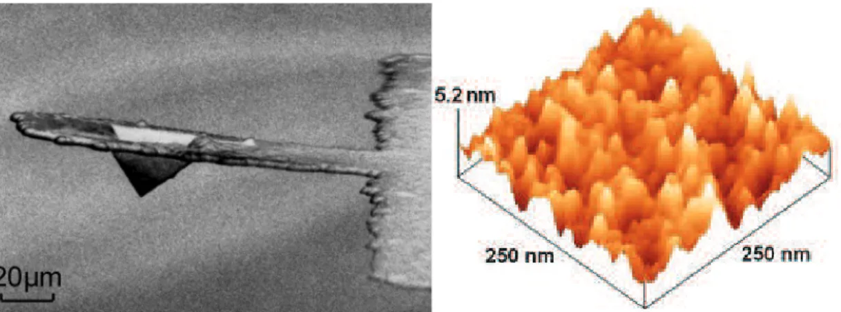 Figure 3.12: a) A cantilever tip with diamond fabrication as seen from a SEM [9] . b) A 3D AFM graph  showing the topography of SnO 2  surface [10] 