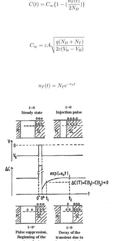 Figure 2.12: Change of the capacitance under the influence of an applied voltage as a function of time.