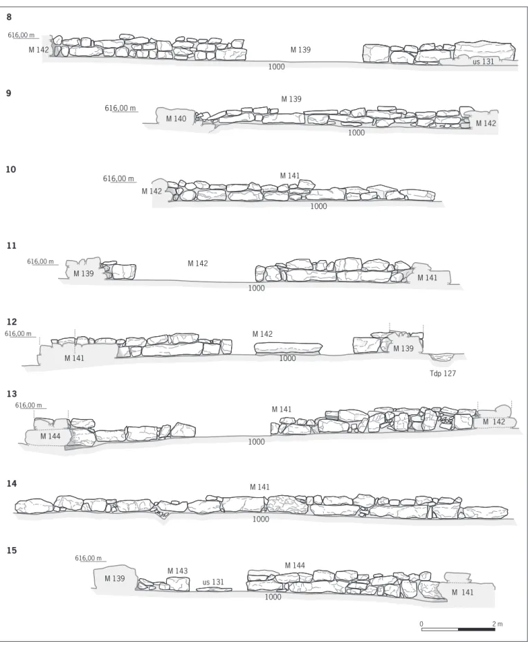Fig. 44 : Relevés des élévations des murs (DAO S. Guyot).