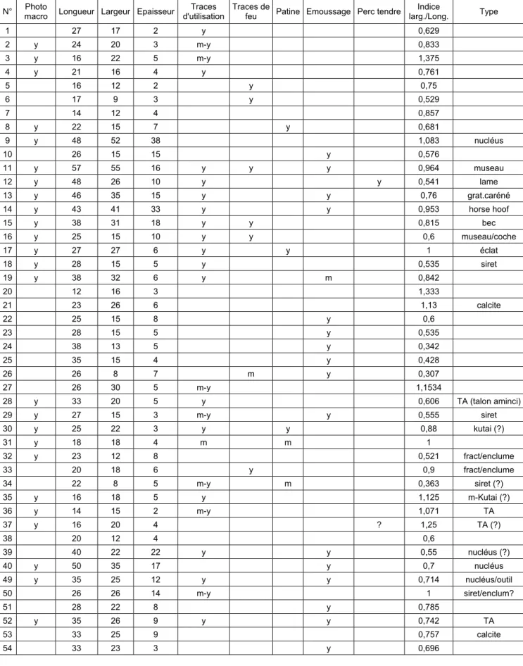 Tableau descriptif du matériel lithique de la sépulture 2 