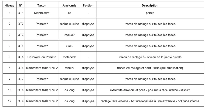 Tableau 2 : Liste et description des éléments d’industrie osseuse 